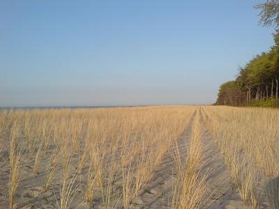 Glebbe 66 _ Hus Suennschien Διαμέρισμα Zingst Εξωτερικό φωτογραφία