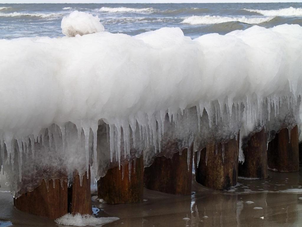Glebbe 66 _ Hus Suennschien Διαμέρισμα Zingst Εξωτερικό φωτογραφία