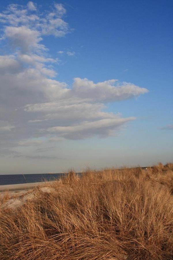 Glebbe 66 _ Hus Suennschien Διαμέρισμα Zingst Εξωτερικό φωτογραφία